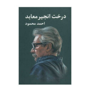 انجیر معابد اثر احمد محمود – ۲ جلدی