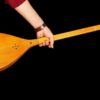 ساز دوتار ایرانی اثر استاد اکبری، با کیفیت بالا