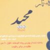 پرده یا فرت برای تار ایرانی مدل مجید متوسط