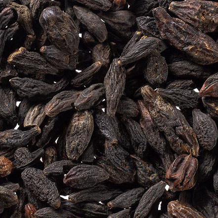 هلیله سیاه خشک (هریتاکی) – 500 گرم گیاه دارویی مخصوص دستگاه گوارش