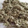 گیاه خشک شده‌ی گیاه پاچنبری (Tussilago farfara) – 600 گرم، پشتیبانی تنفسی ممتاز
