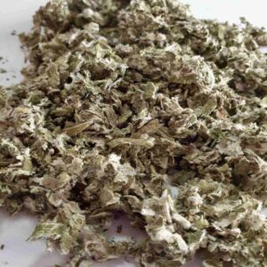 گیاه خشک شده‌ی گیاه پاچنبری (Tussilago farfara) – 600 گرم، پشتیبانی تنفسی ممتاز