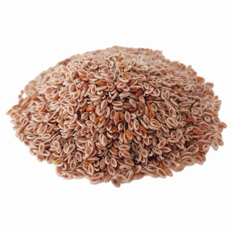 دانه‌های خشک شده اسفرزه (اسفرزه) – ۶۰۰ گرم