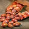 سنجد خشک (زیتون روسی) – 2500 گرم