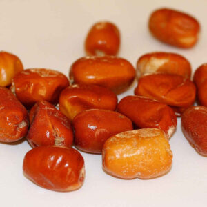 سنجد خشک (زیتون روسی) – 2500 گرم