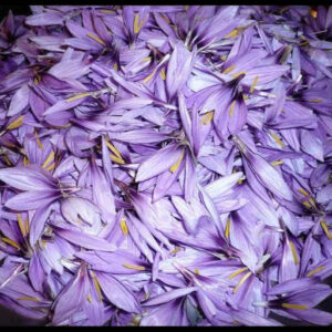 گلبرگ‌های خشک زعفران ایرانی ۵۰۰ گرم