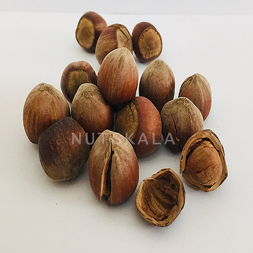 گردوی کامل خام ایرانی – ۹۰۰ گرم