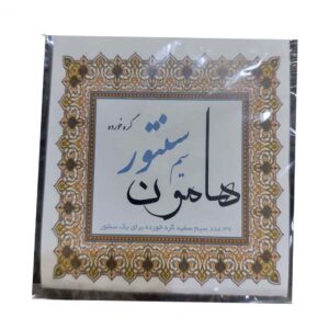 بسته سیم برای سنتور ایرانی، هامون، استیل ۰۴۰