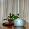 چراغ نمک شب‌تاب ایرانی – کار دست با طرح رقص سماع