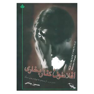 افلاطون کنار شومینه اثر حسین پناهی