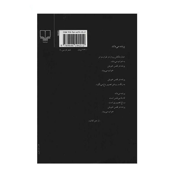 آینه در آینه (اثر هوشنگ ابتهاج)