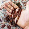 تسبیح اسلامی کهربایی سلین با ۳۳ دانه تسبیح