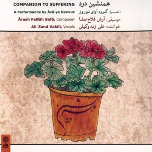 آلبوم موسیقی همدم رنج اثر علی زندوکیلی