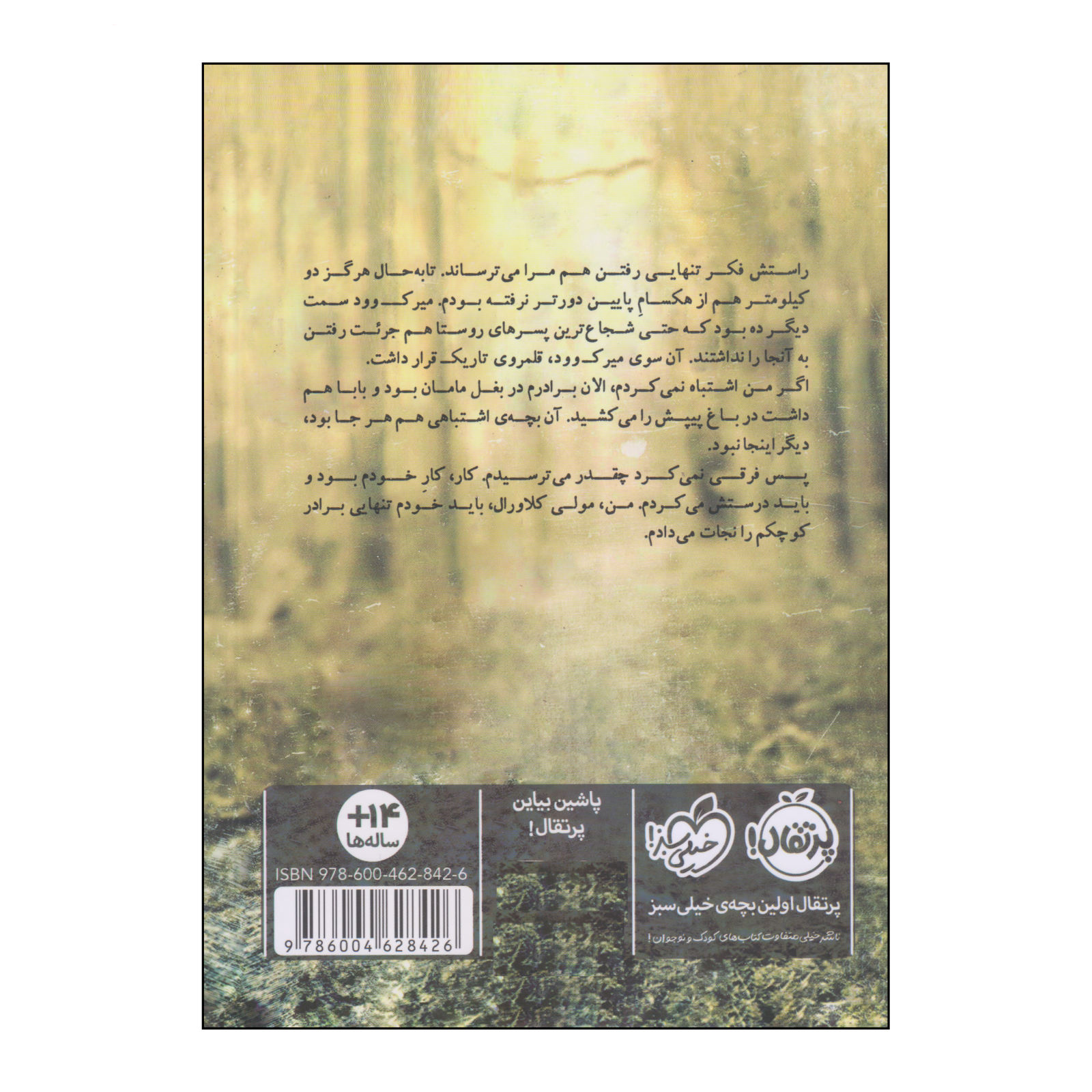 کتاب مهمان اثر مری داونینگ هان (نسخه فارسی)
