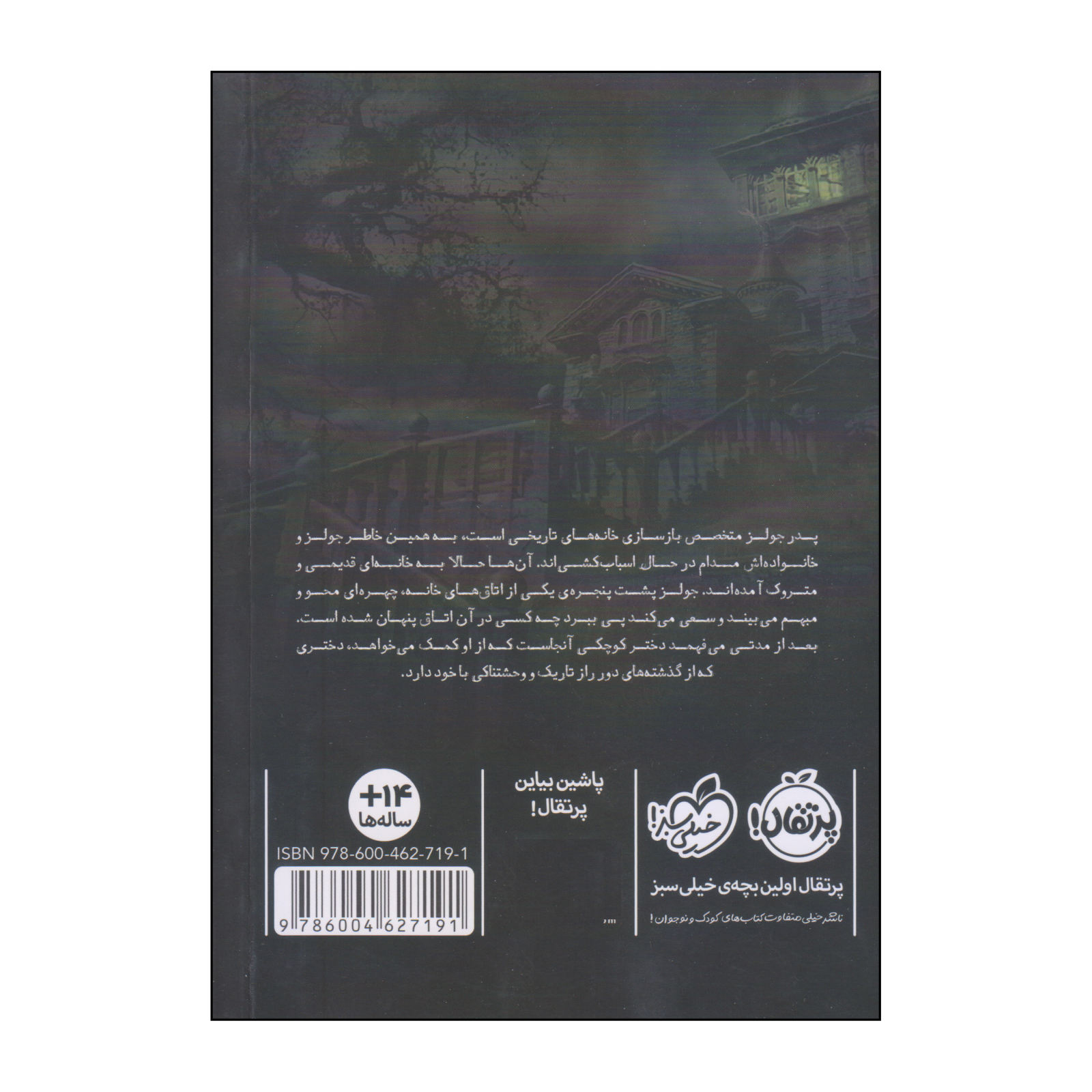 دختر در اتاق دربسته اثر مری داونینگ هان