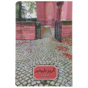 رمان «ترک فرانسوی» نوشته آنا گاوالدا (نسخه فارسی)