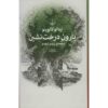 رمان بارون درخت‌نشین اثر ایتالو کالوینو (فارسی)