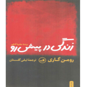 رمان زندگی پیش رو اثر رومن گاری (فارسی)