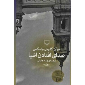 صدای افتادن اشیا اثر خوان گابریل واسکز