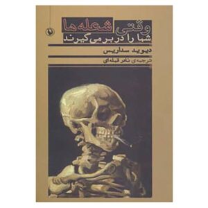 کتاب وقتی در شعله‌ها غرق شده‌ای اثر دیوید سداریس