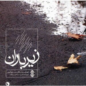آلبوم موسیقی زیره باران از سینا سرلک