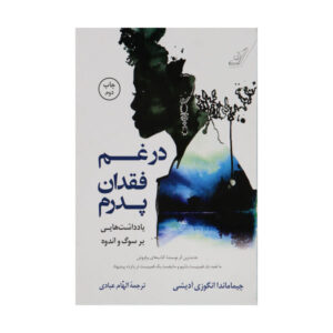 کتاب یادداشت‌هایی درباره سوگ اثر چیماماندا نگوزی آدیچی
