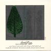 آلبوم موسیقی دور تا نزدیک از ارسلان کامکار