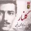آلبوم موسیقی گلنار اثر داریوش رفیعی