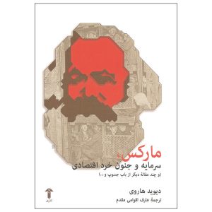مارکس، سرمایه و جنون عقل اقتصادی