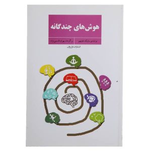 کتاب هوش‌های چندگانه در عمل نوشته مایک فلیتهام