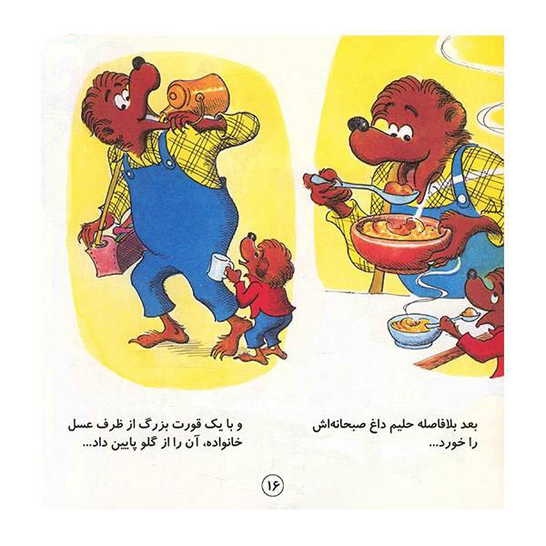 نوزاد جدید خرسهای برنستین اثر جان برنستین