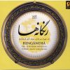 آلبوم موسیقی رنگنه ها از شهرام میرجلالی