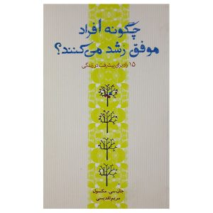 چگونه افراد موفق رشد می‌کنند، نوشته‌ی جان سی. مکسول