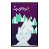 کتاب شهر طلا و سرب اثر جان کریستوفر