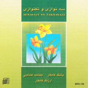 آلبوم موسیقی سنوازی و تکنوازی از هنرمندان مختلف