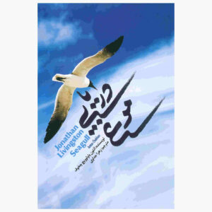 نمایشنامه مرغ دریایی اثر آنتوان چخوف