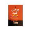 کتاب چرخش کلید اثر روث ور (فارسی)