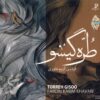 آلبوم موسیقی توره گیسو اثر فردین کریم خاوری