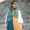 شال طرح‌دار ایرانی، برگ هنری و سبک