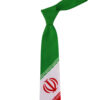 کراوات مردانه - طرح هنری الهام گرفته از هنر ایرانی با طرح پرچم ایران