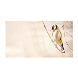 نقاشی هنری رئالیسم اصیل – رنگ روغن روی مقوا، پرنده