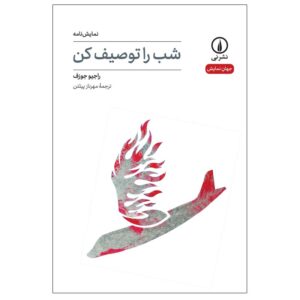 کتاب شب را توصیف کن اثر راجیو جوزف (فارسی)