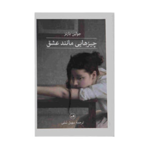رمان عشق و غیره اثر جولیان بارنز (نسخه فارسی)