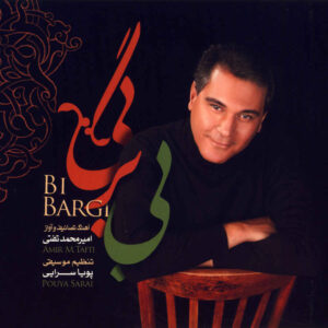 آلبوم موسیقی بی برگی از امیرمحمد تفتی