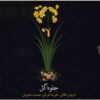 آلبوم موسیقی جلوه گل از علیرضا قربانی