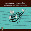 آلبوم «The Down Call» از شیرین محمدی
