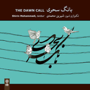 آلبوم «The Down Call» از شیرین محمدی