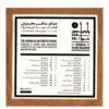 آلبوم صدای تحریف‌شده از مانی جعفرزاده