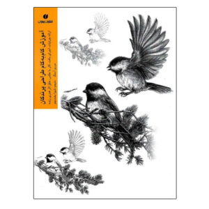 طراحی: کتاب پرندگان اثر موری آسنگ (فارسی)