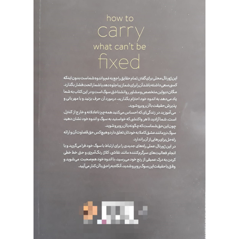 چگونه چیزی را که نمی‌توان تعمیر کرد، تحمل کنیم، نوشته‌ی دیواین مگان (فارسی)